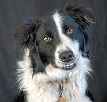 Photo of ENZO