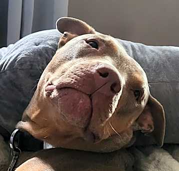 Photo of Ruca