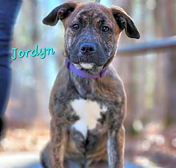 Photo of Jordyn