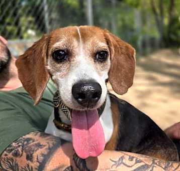 Photo of Precious - 25113