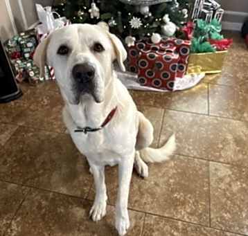 Photo of Max