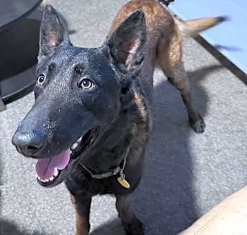 Photo of Echo