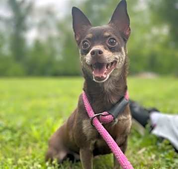 Photo of Heidi