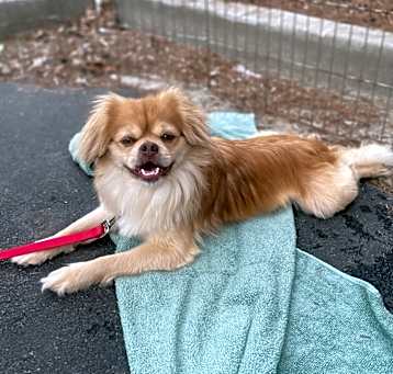 Photo of Tank