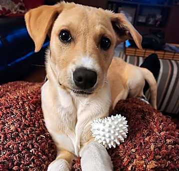 Photo of Eden - In Foster