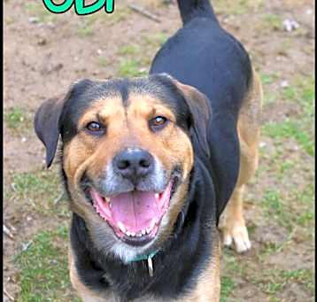 Photo of Obi