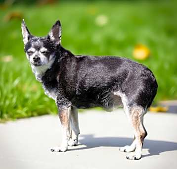 Photo of Emmy