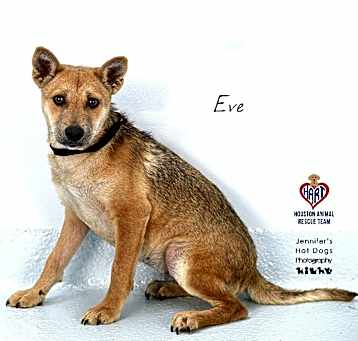 Photo of Eve