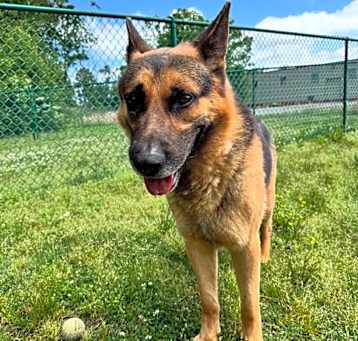 Photo of Foster ("Flaco")