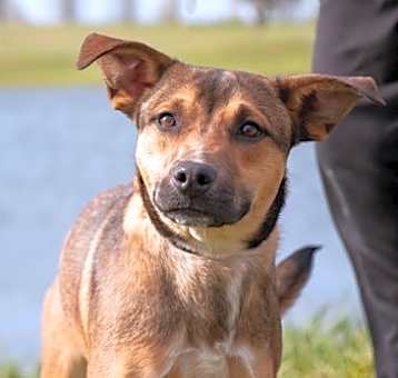 Photo of Quill