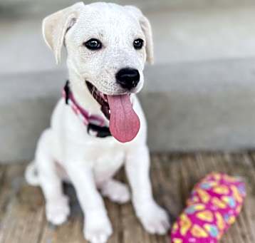 Photo of Brylee