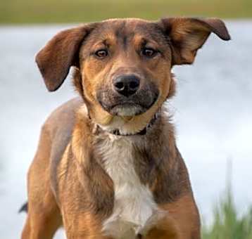 Photo of Quest