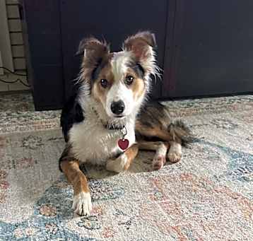 Photo of Finn