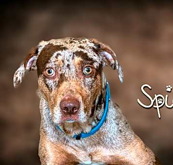 Photo of Spice