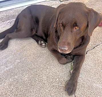 Photo of Max