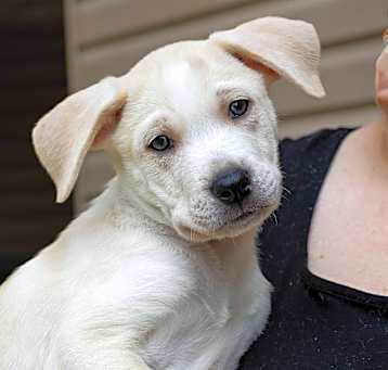 Photo of Brody