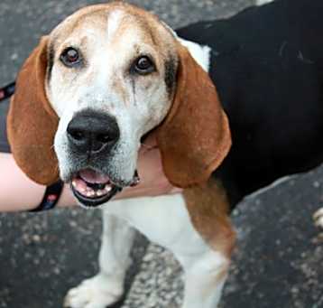 Photo of Boone