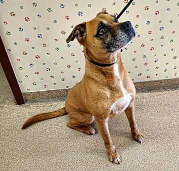 Photo of Tank