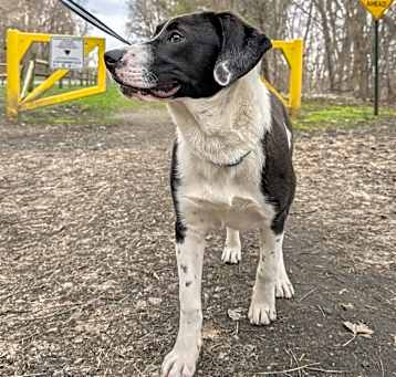 Photo of Clyde