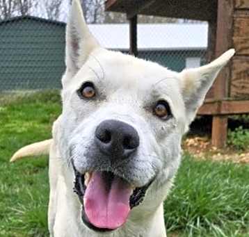 Photo of Rex