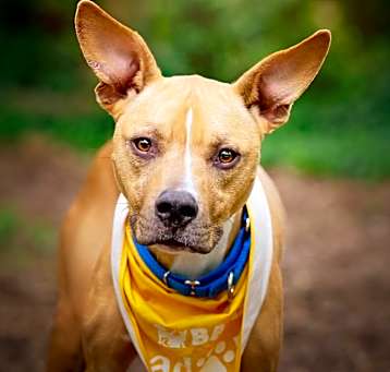 Photo of Winnie