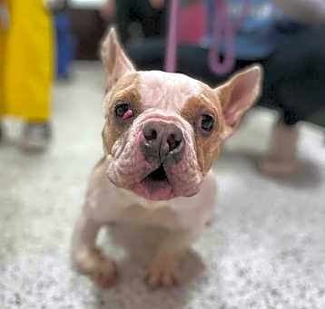 Photo of Sophie (GA)
