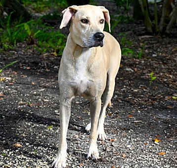 Photo of Lucky