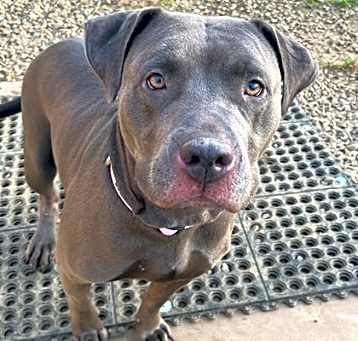 Photo of Blu