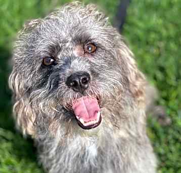 Photo of Zeke