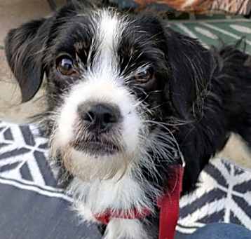 Photo of Lulu
