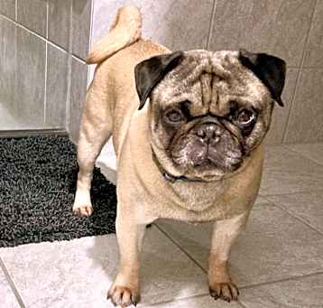 Photo of Bentley Cuddlesworth