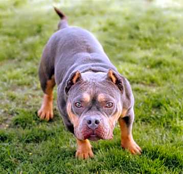 Photo of Trudy