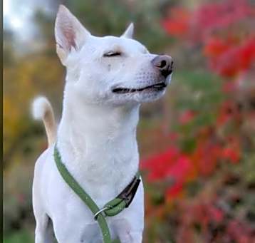 Photo of Olaf 