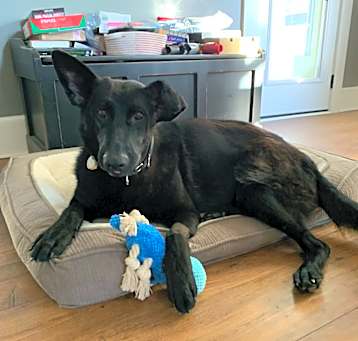 Photo of Piney