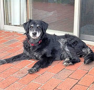 Photo of Lucie