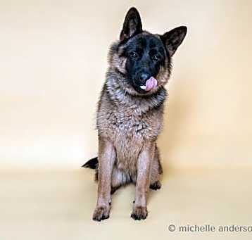 Photo of ARWIN