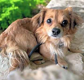 Photo of CHASE