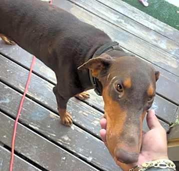 Photo of MILO