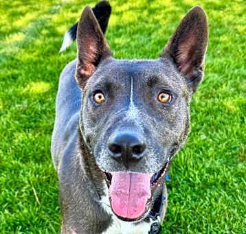 Photo of Charlie