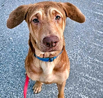 Photo of Graham - Reduced Fee!