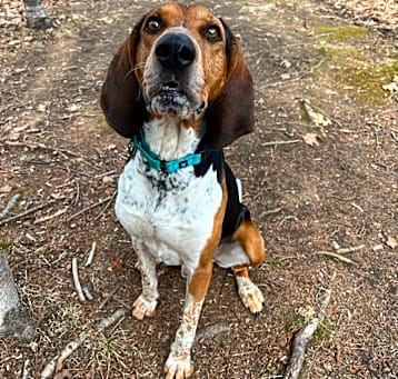 Photo of Kaiser