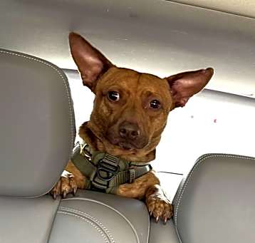 Photo of Shorty Max!