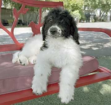 Photo of Spencer