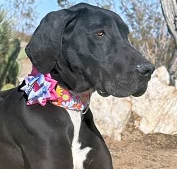 Photo of Vula