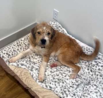 Photo of Roxy