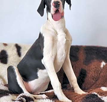 Photo of Loretta