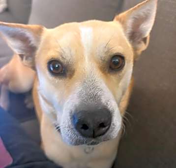 Photo of Meg D64716