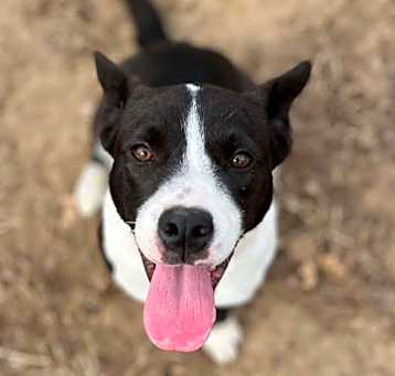 Photo of Xena