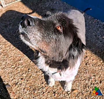 Photo of Mally