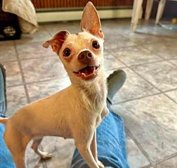Photo of Candy